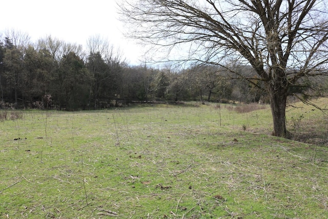 875 Pates Hill Rd, Mosheim, TN 37818 - photo 36