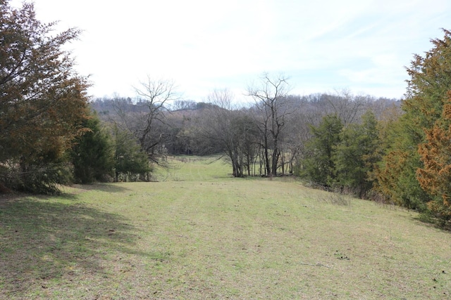 875 Pates Hill Rd, Mosheim, TN 37818 - photo 34