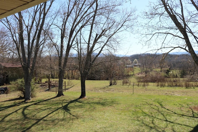 875 Pates Hill Rd, Mosheim, TN 37818 - photo 9