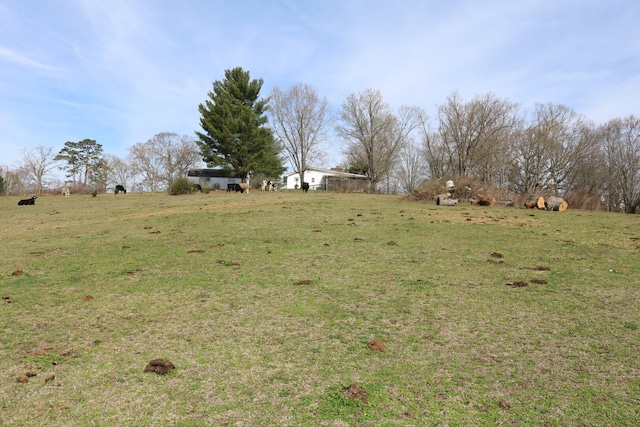 875 Pates Hill Rd, Mosheim, TN 37818 - photo 23