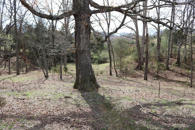 875 Pates Hill Rd, Mosheim, TN 37818 - photo 27