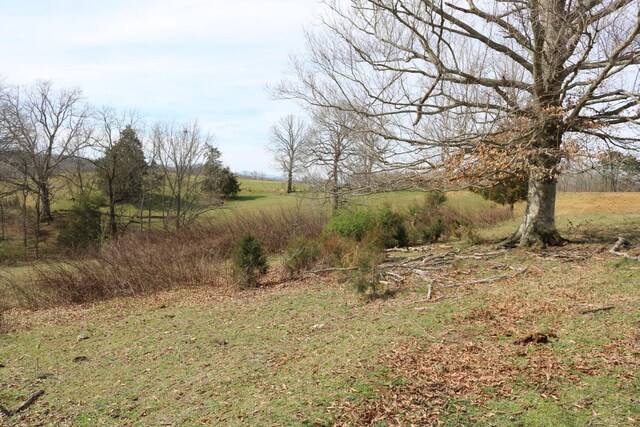 875 Pates Hill Rd, Mosheim, TN 37818 - photo 26