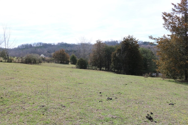 875 Pates Hill Rd, Mosheim, TN 37818 - photo 31