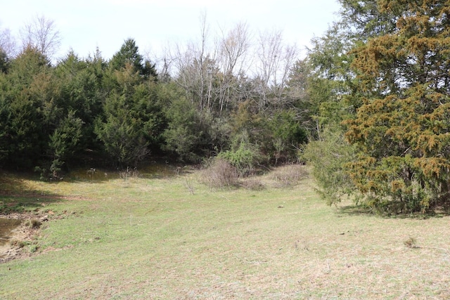 875 Pates Hill Rd, Mosheim, TN 37818 - photo 33