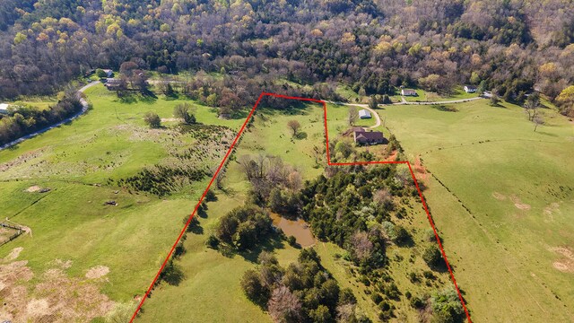 875 Pates Hill Rd, Mosheim, TN 37818 - photo 4