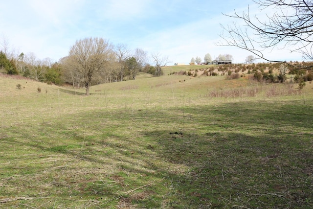 875 Pates Hill Rd, Mosheim, TN 37818 - photo 37