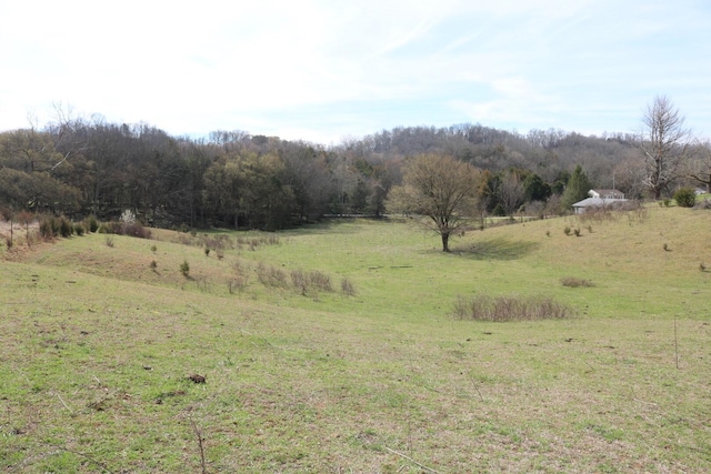 875 Pates Hill Rd, Mosheim, TN 37818 - photo 35