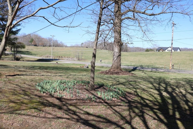 875 Pates Hill Rd, Mosheim, TN 37818 - photo 10
