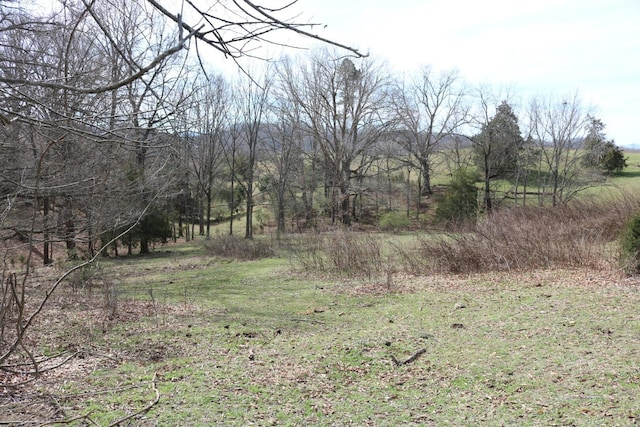 875 Pates Hill Rd, Mosheim, TN 37818 - photo 25