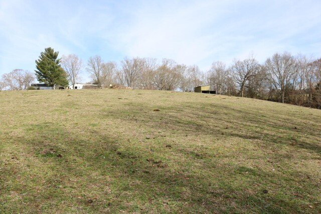 875 Pates Hill Rd, Mosheim, TN 37818 - photo 24