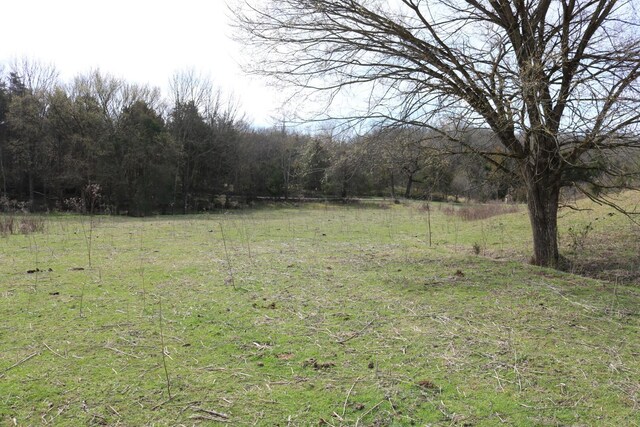 875 Pates Hill Rd, Mosheim, TN 37818 - photo 41