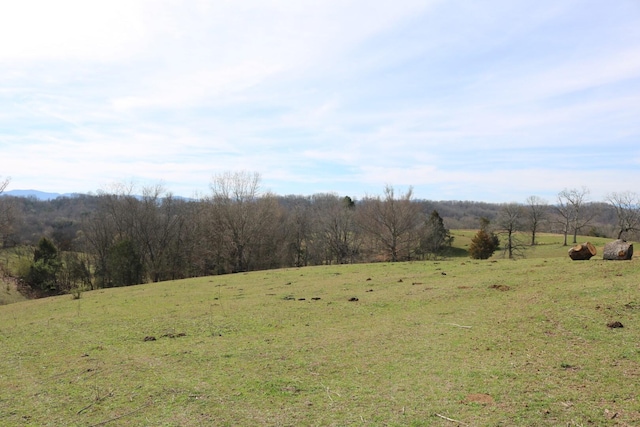 875 Pates Hill Rd, Mosheim, TN 37818 - photo 22