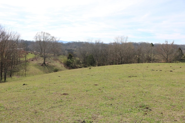 875 Pates Hill Rd, Mosheim, TN 37818 - photo 20