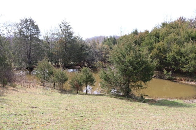 875 Pates Hill Rd, Mosheim, TN 37818 - photo 32