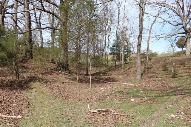 875 Pates Hill Rd, Mosheim, TN 37818 - photo 30