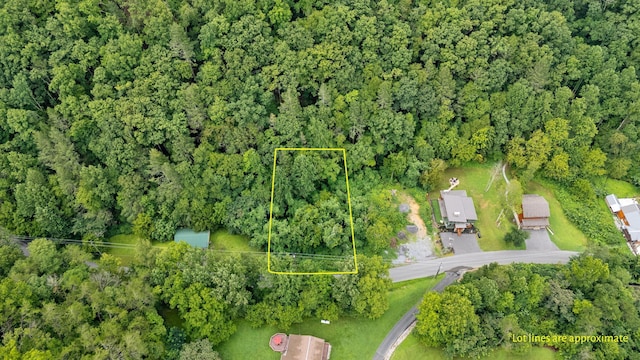 LOT30 Catons Chapel Rd, Sevierville, TN 37876 - photo 3