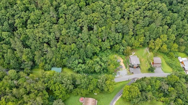 LOT30 Catons Chapel Rd, Sevierville, TN 37876 - photo 2