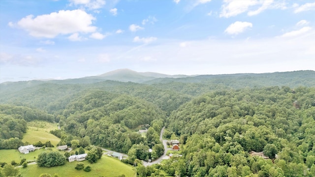 LOT30 Catons Chapel Rd, Sevierville, TN 37876 - photo 13