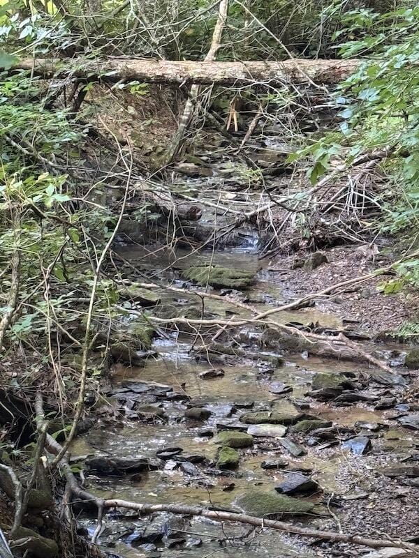 LOT30 Catons Chapel Rd, Sevierville, TN 37876 - photo 15