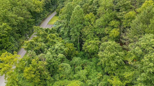 LOT30 Catons Chapel Rd, Sevierville, TN 37876 - photo 4