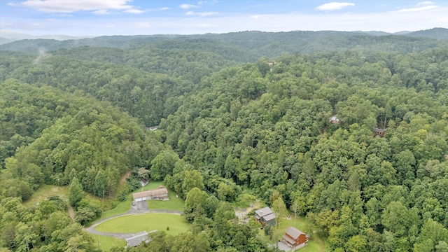 LOT30 Catons Chapel Rd, Sevierville, TN 37876 - photo 12