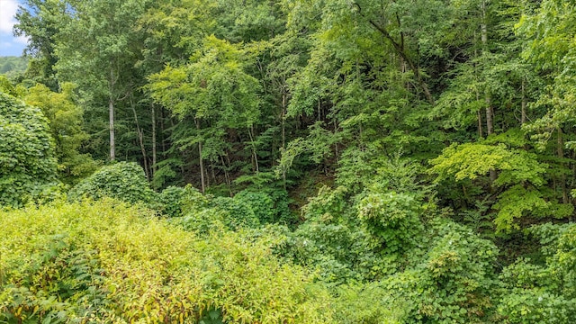 LOT30 Catons Chapel Rd, Sevierville, TN 37876 - photo 9