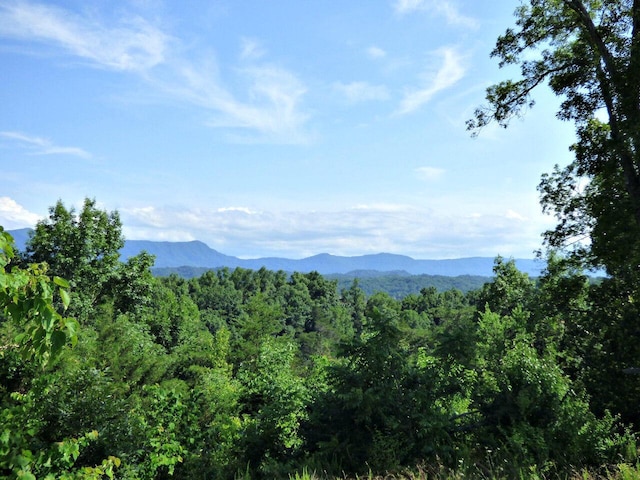 LOT32 Tranquility Trl, Dandridge, TN 37725 - photo 5
