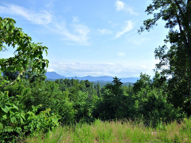LOT32 Tranquility Trl, Dandridge, TN 37725 - photo 3