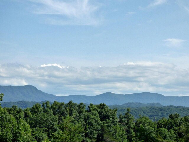 LOT32 Tranquility Trl, Dandridge, TN 37725 - photo 6