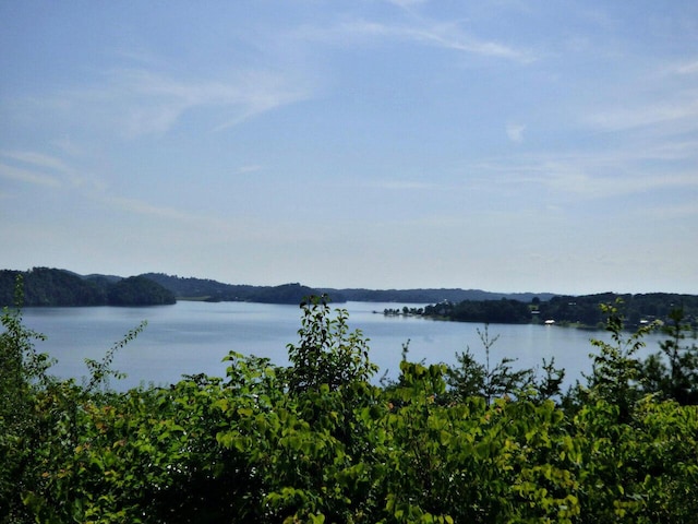 LOT32 Tranquility Trl, Dandridge, TN 37725 - photo 1
