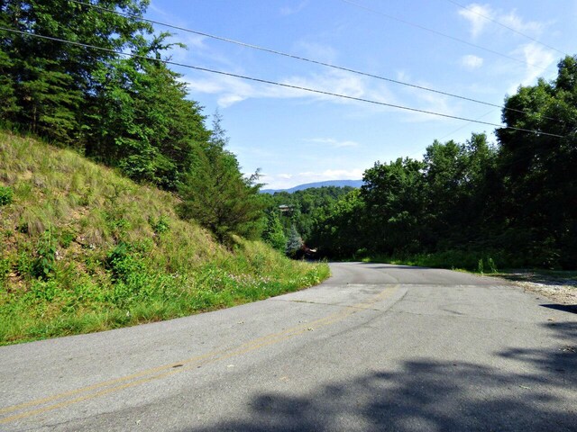LOT32 Tranquility Trl, Dandridge, TN 37725 - photo 9