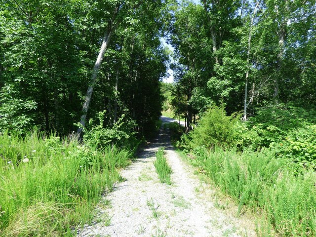 LOT32 Tranquility Trl, Dandridge, TN 37725 - photo 8