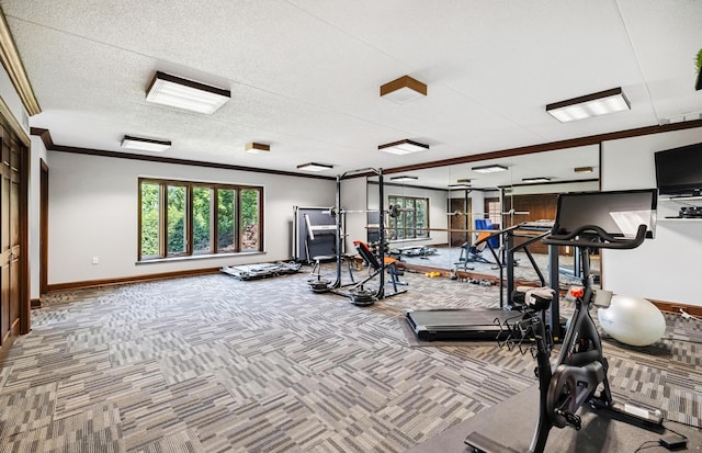 1442 Darbee Dr, Morristown, TN 37814 - exercise room with crown molding and carpet flooring