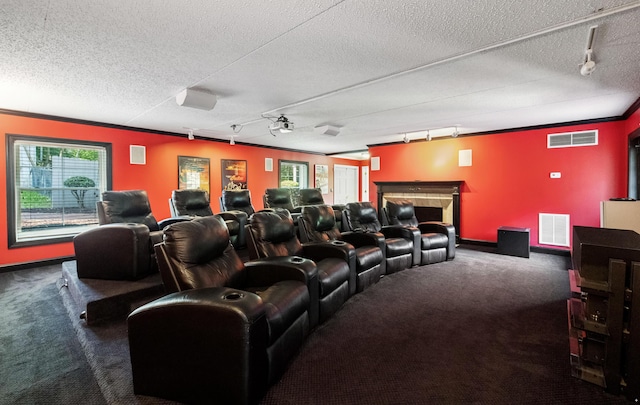 1442 Darbee Dr, Morristown, TN 37814 - carpeted cinema with track lighting, plenty of natural light, ornamental molding, a textured ceiling, and a fireplace