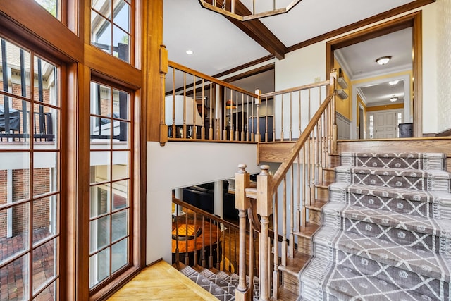 1442 Darbee Dr, Morristown, TN 37814 - stairway with ornamental molding, wood finished floors, and a high ceiling