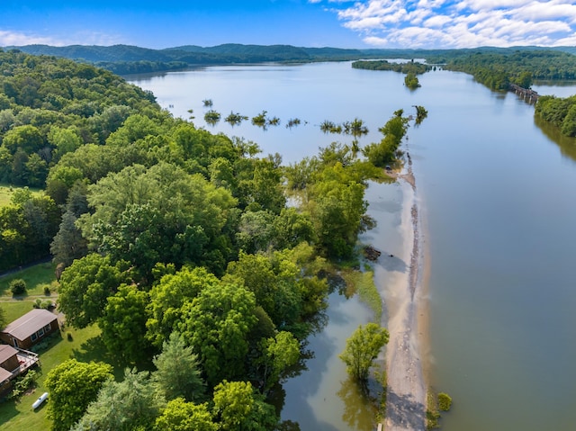 3569 Leadvale Rd, White Pine, TN 37890 - bird's eye view of a water and mountain view and a forest