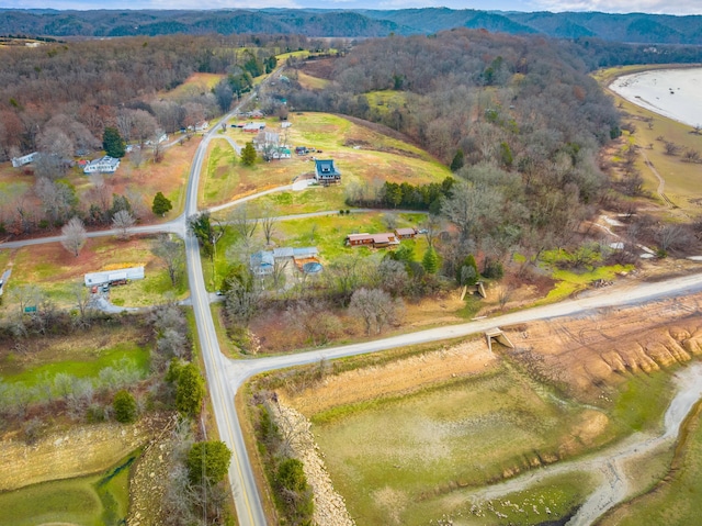 bird's eye view featuring a mountain view