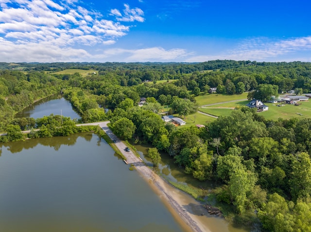 3569 Leadvale Rd, White Pine, TN 37890 - aerial view of property's location with a forest and a large body of water