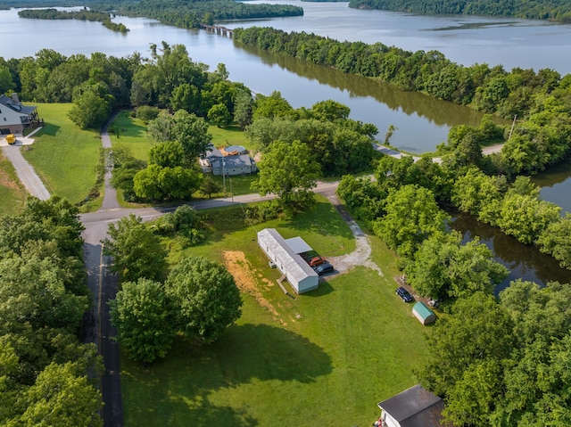 3569 Leadvale Rd, White Pine, TN 37890 - bird's eye view of a large body of water and a forest