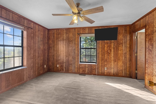 818 Cave Springs Rd, Tazewell, TN 37879 - photo 12