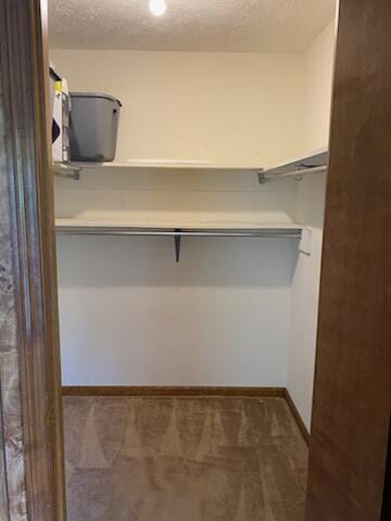 818 Cave Springs Rd, Tazewell, TN 37879 - walk in closet with carpet