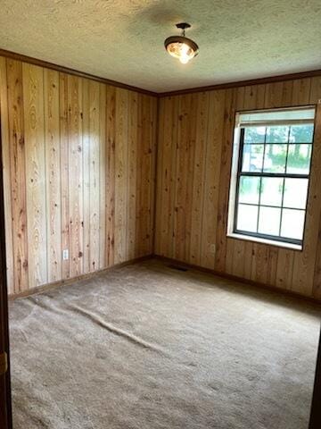 818 Cave Springs Rd, Tazewell, TN 37879 - carpeted spare room with a textured ceiling and wooden walls