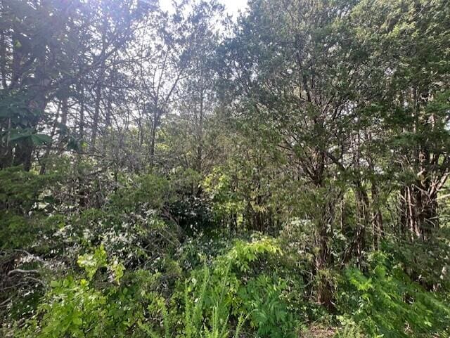 LOT30 Driftwood Cir, Sevierville, TN 37876 - photo 2