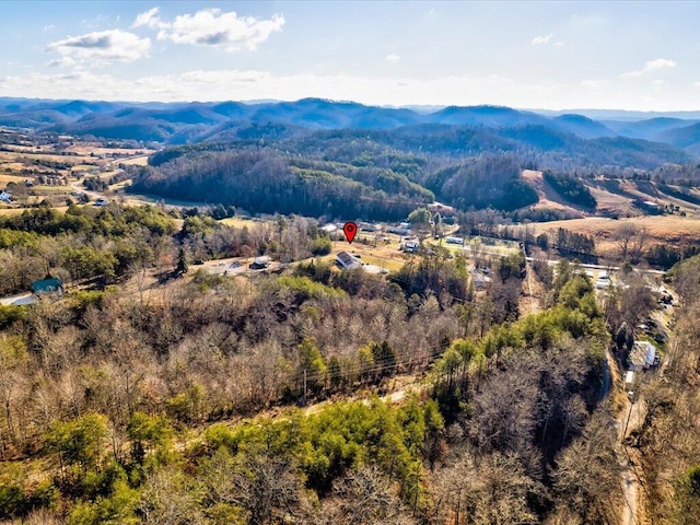 bird's eye view with a mountain view