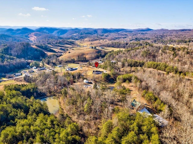 bird's eye view with a water and mountain view