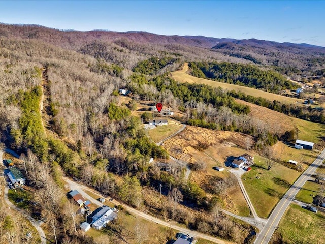 bird's eye view with a mountain view