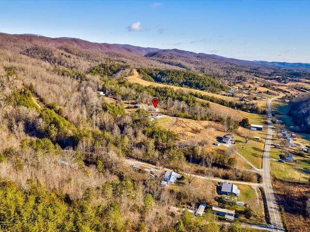 bird's eye view with a mountain view