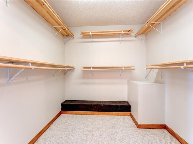 walk in closet featuring light carpet