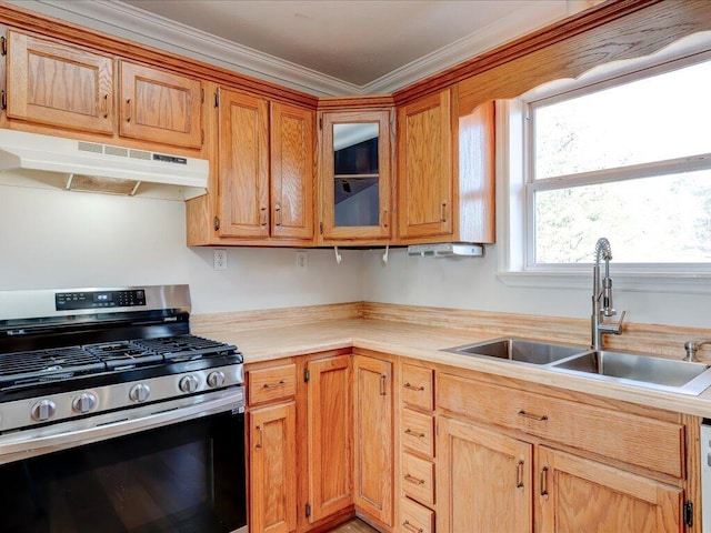 kitchen featuring gas stove, crown molding, and sink