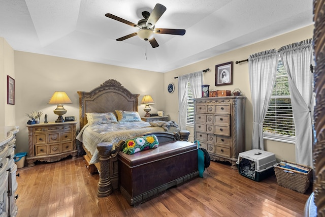 822 Osprey Dr, Morristown, TN 37814 - bedroom with a tray ceiling, wood finished floors, and ceiling fan